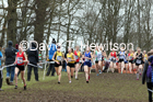Womens under-20s, 2020 British Athletics Inter Counties Cross Country Champs., Prestwold Hall, Loughborough. Photo: David T. Hewitson/Sports for All Pics